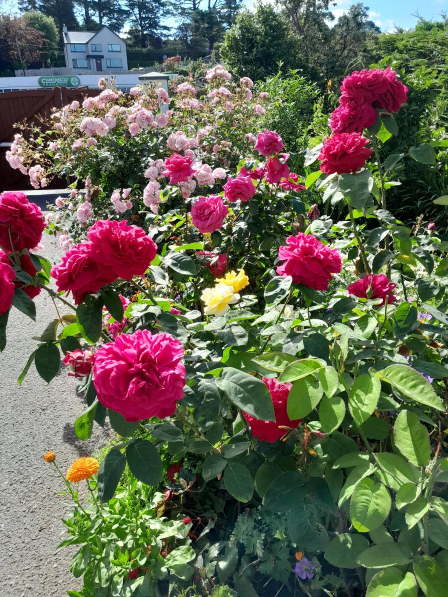 Saint Martin'S Bed And Breakfast 밴던 외부 사진